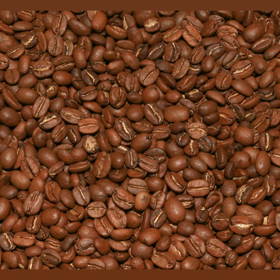 Coffee in the grains of Espresso Donizetti