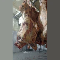 Beef in half carcasses