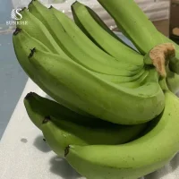 Fresh Bananas from Vietnam