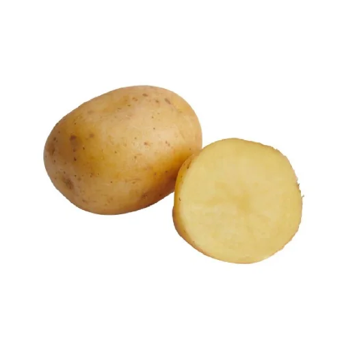 Seed potatoes "COLUMBA"