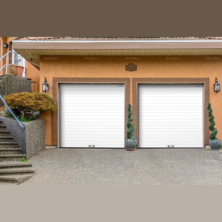Doorhan RSD02 Garage Gate (3200x2400)