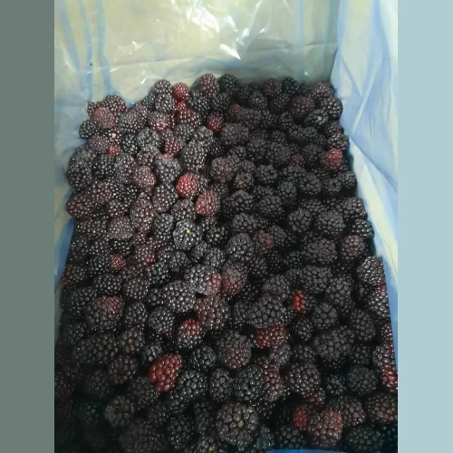 Frozen blackberries 