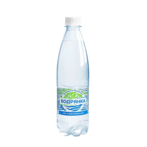 Non-carbonated mineral water, pet, 0.5l 