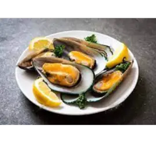 Mussels in 1/2 shells