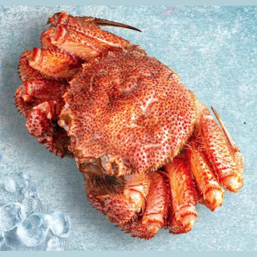 Crab Hairy 700 gr