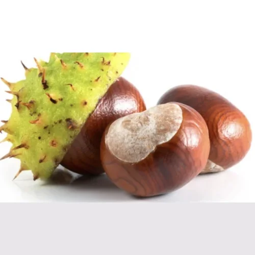 Chestnuts Georgia 